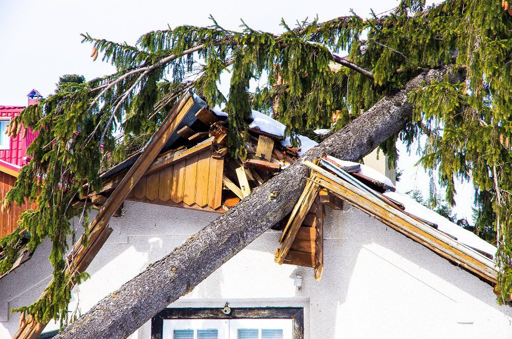 Can your employee take time off because his house was damaged? (Payroll Belgium)